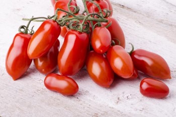Tomates pomodori italianos frescos